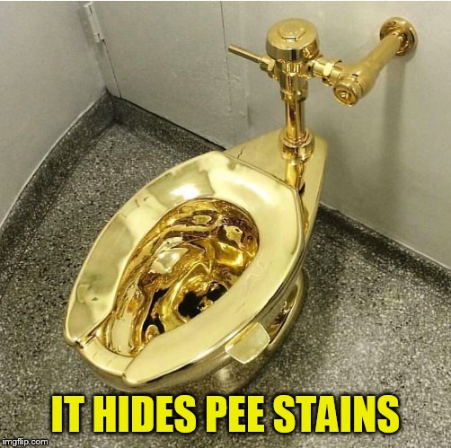 Gold Toilet | IT HIDES PEE STAINS | image tagged in gold toilet | made w/ Imgflip meme maker