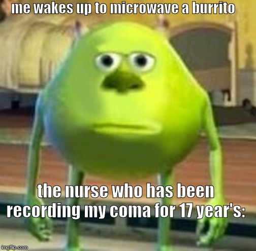 mike with sully's face | me wakes up to microwave a burrito; the nurse who has been recording my coma for 17 year's: | image tagged in mike with sully's face | made w/ Imgflip meme maker