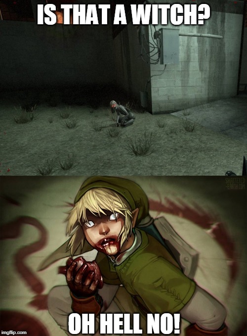 LINK IS A WITCH! | IS THAT A WITCH? OH HELL NO! | image tagged in left 4 dead,link,the legend of zelda | made w/ Imgflip meme maker
