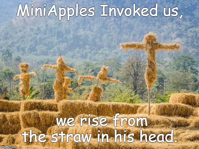Straw man | MiniApples Invoked us, we rise from the straw in his head. | image tagged in strawman | made w/ Imgflip meme maker