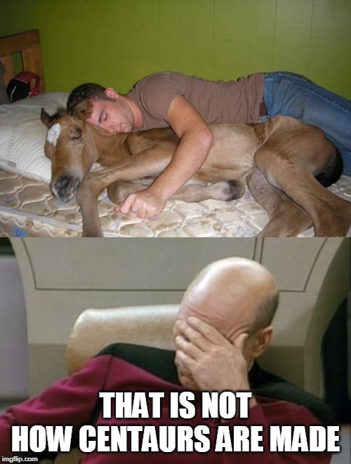 HE WANTS A CENTAUR | THAT IS NOT HOW CENTAURS ARE MADE | image tagged in memes,captain picard facepalm,centaur | made w/ Imgflip meme maker