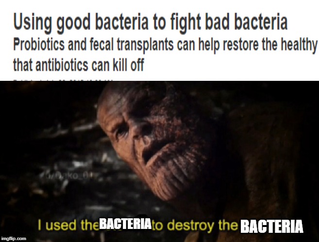 I used the stones to destroy the stones | BACTERIA; BACTERIA | image tagged in i used the stones to destroy the stones | made w/ Imgflip meme maker