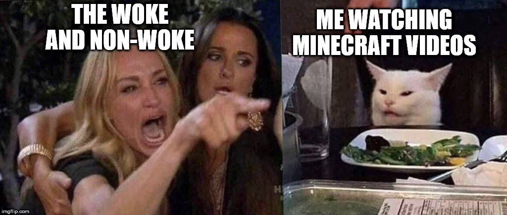 woman yelling at cat | ME WATCHING MINECRAFT VIDEOS; THE WOKE AND NON-WOKE | image tagged in woman yelling at cat | made w/ Imgflip meme maker