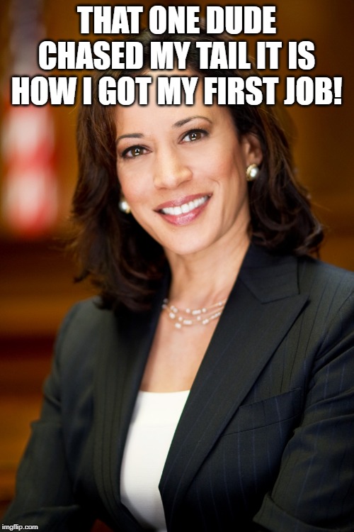 Kamala Harris | THAT ONE DUDE CHASED MY TAIL IT IS HOW I GOT MY FIRST JOB! | image tagged in kamala harris | made w/ Imgflip meme maker
