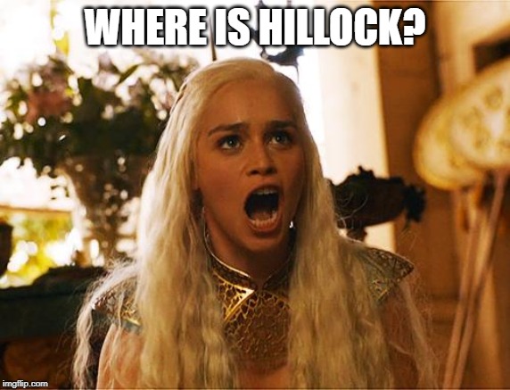 Where are my dragons | WHERE IS HILLOCK? | image tagged in where are my dragons | made w/ Imgflip meme maker