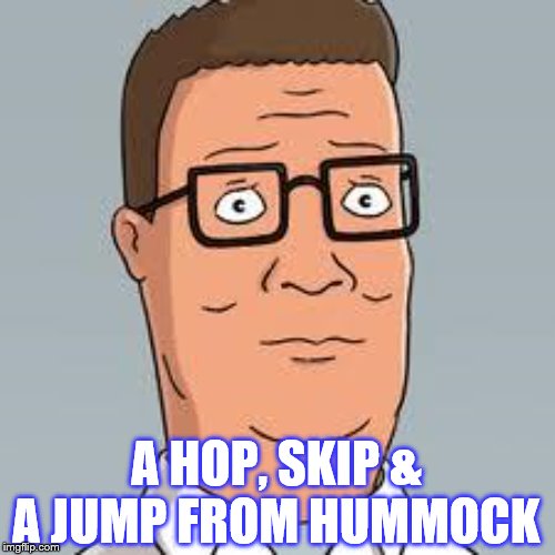 Hank Hill | A HOP, SKIP & A JUMP FROM HUMMOCK | image tagged in hank hill | made w/ Imgflip meme maker