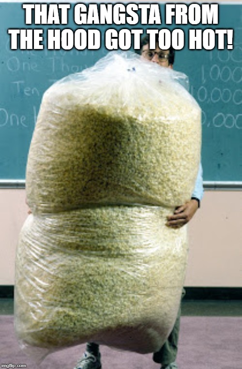 Sack of Pop Corn | THAT GANGSTA FROM THE HOOD GOT TOO HOT! | image tagged in sack of pop corn | made w/ Imgflip meme maker