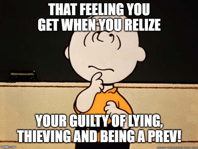 Charlie Brown | THAT FEELING YOU GET WHEN YOU RELIZE; YOUR GUILTY OF LYING, THIEVING AND BEING A PREV! | image tagged in charlie brown | made w/ Imgflip meme maker