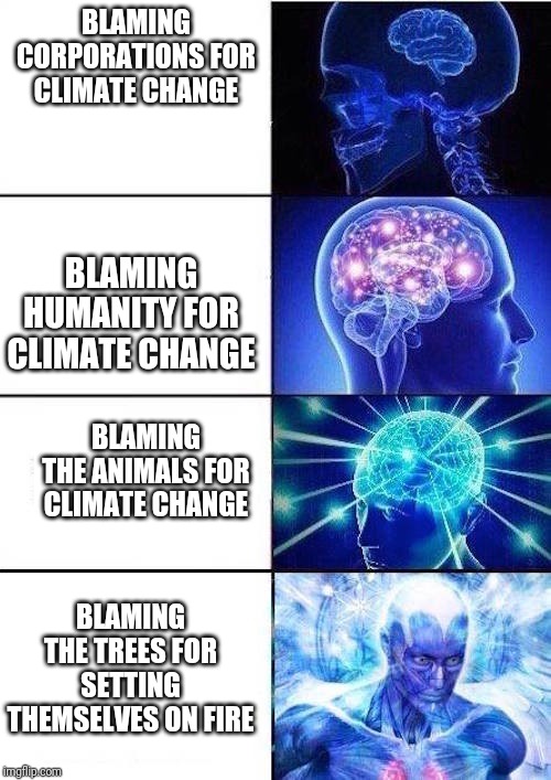 Brain Mind Expanding | BLAMING CORPORATIONS FOR CLIMATE CHANGE; BLAMING HUMANITY FOR CLIMATE CHANGE; BLAMING THE ANIMALS FOR CLIMATE CHANGE; BLAMING THE TREES FOR SETTING THEMSELVES ON FIRE | image tagged in brain mind expanding | made w/ Imgflip meme maker