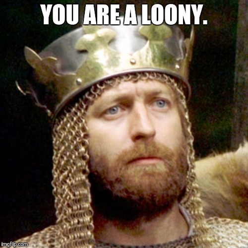 King Arthur | YOU ARE A LOONY. | image tagged in king arthur | made w/ Imgflip meme maker