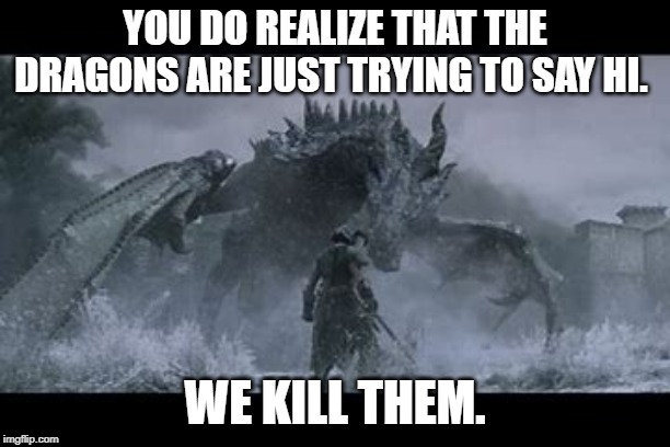 Dragon and Dragonborn | YOU DO REALIZE THAT THE DRAGONS ARE JUST TRYING TO SAY HI. WE KILL THEM. | image tagged in dragon and dragonborn | made w/ Imgflip meme maker