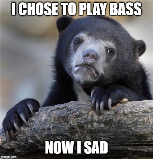 Lifes of a Bass Player | I CHOSE TO PLAY BASS; NOW I SAD | image tagged in memes,confession bear,bass,bassmemes,funny,sad | made w/ Imgflip meme maker