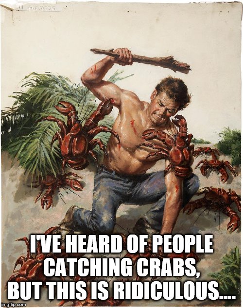 Man crab fight | I'VE HEARD OF PEOPLE CATCHING CRABS, BUT THIS IS RIDICULOUS.... | image tagged in man crab fight | made w/ Imgflip meme maker