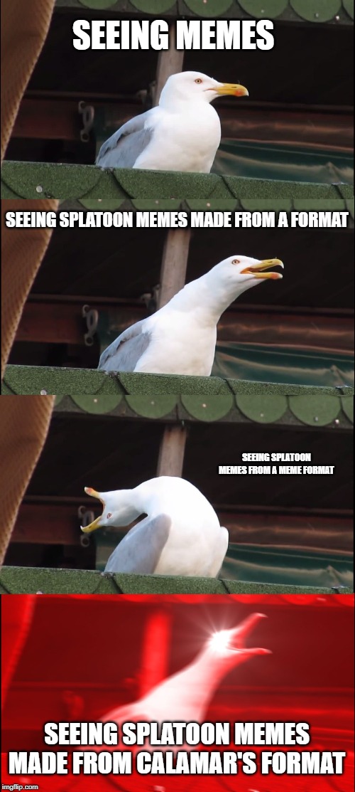 Inhaling Seagull Meme | SEEING MEMES; SEEING SPLATOON MEMES MADE FROM A FORMAT; SEEING SPLATOON MEMES FROM A MEME FORMAT; SEEING SPLATOON MEMES MADE FROM CALAMAR'S FORMAT | image tagged in memes,inhaling seagull | made w/ Imgflip meme maker