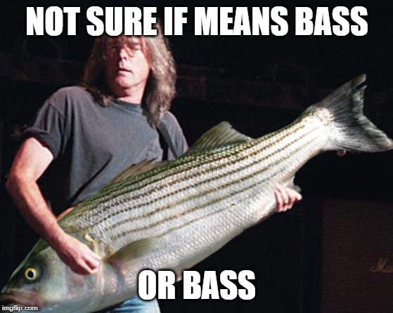 Bass guitar pun | NOT SURE IF MEANS BASS OR BASS | image tagged in bass guitar pun | made w/ Imgflip meme maker