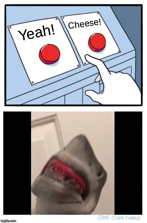 Shark Puppet Buttons | Cheese! Yeah! | image tagged in memes,two buttons,shark puppet,youtube,cheese,yeah | made w/ Imgflip meme maker