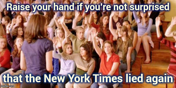 They think they're bulletproof and we can't do anything about it | Raise your hand if you're not surprised; that the New York Times lied again | image tagged in biased media,fake news,x x everywhere,panic attack,stop it,media lies | made w/ Imgflip meme maker