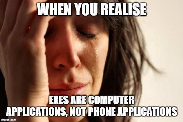 First World Problems Meme | WHEN YOU REALISE EXES ARE COMPUTER APPLICATIONS, NOT PHONE APPLICATIONS | image tagged in memes,first world problems | made w/ Imgflip meme maker