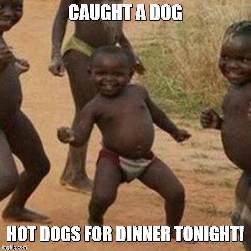 Third World Success Kid Meme | CAUGHT A DOG HOT DOGS FOR DINNER TONIGHT! | image tagged in memes,third world success kid | made w/ Imgflip meme maker