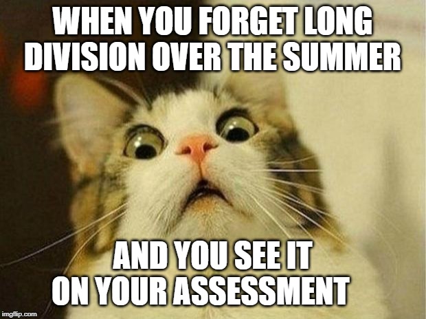 Scared Cat Meme | WHEN YOU FORGET LONG DIVISION OVER THE SUMMER; AND YOU SEE IT ON YOUR ASSESSMENT | image tagged in memes,scared cat | made w/ Imgflip meme maker