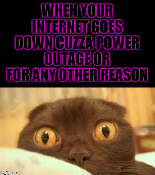 scaredy cat | WHEN YOUR INTERNET GOES DOWN CUZZA POWER OUTAGE OR FOR ANY OTHER REASON | image tagged in scaredy cat | made w/ Imgflip meme maker