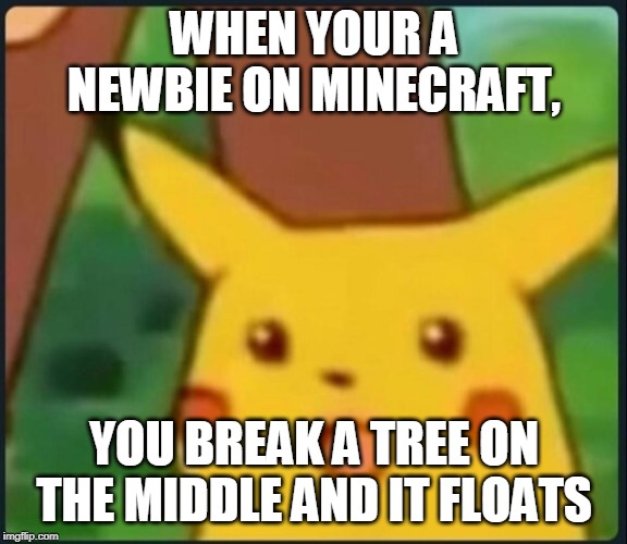 Surprised Pikachu | WHEN YOUR A NEWBIE ON MINECRAFT, YOU BREAK A TREE ON THE MIDDLE AND IT FLOATS | image tagged in surprised pikachu | made w/ Imgflip meme maker