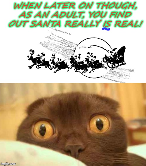 scaredy cat | WHEN LATER ON THOUGH, AS AN ADULT, YOU FIND OUT SANTA REALLY IS REAL! | image tagged in scaredy cat | made w/ Imgflip meme maker