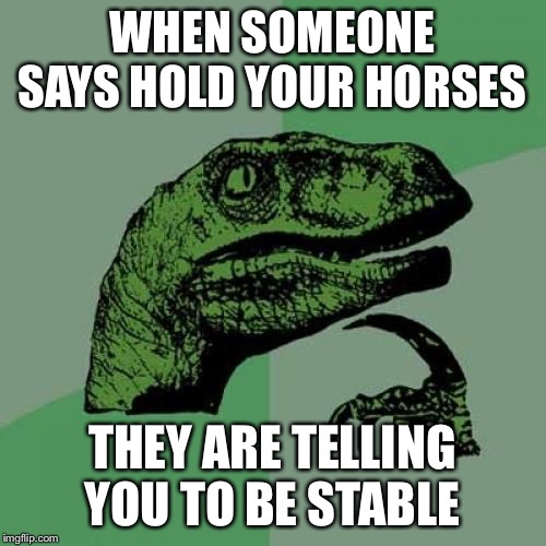 Philosoraptor | WHEN SOMEONE SAYS HOLD YOUR HORSES; THEY ARE TELLING YOU TO BE STABLE | image tagged in memes,philosoraptor | made w/ Imgflip meme maker