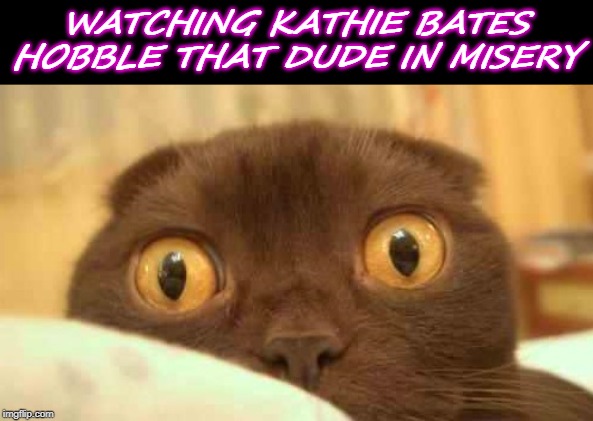 scaredy cat | WATCHING KATHIE BATES HOBBLE THAT DUDE IN MISERY | image tagged in scaredy cat | made w/ Imgflip meme maker
