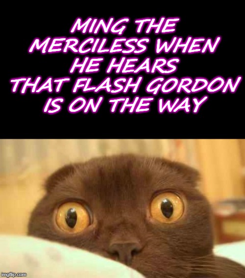 scaredy cat | MING THE MERCILESS WHEN HE HEARS THAT FLASH GORDON IS ON THE WAY | image tagged in scaredy cat | made w/ Imgflip meme maker