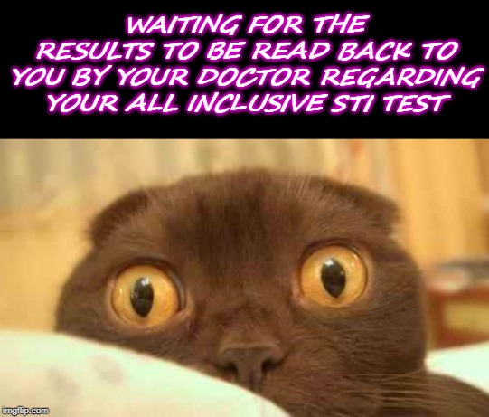scaredy cat | WAITING FOR THE RESULTS TO BE READ BACK TO YOU BY YOUR DOCTOR REGARDING YOUR ALL INCLUSIVE STI TEST | image tagged in scaredy cat | made w/ Imgflip meme maker