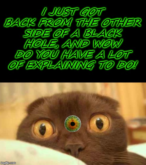 scaredy cat | I JUST GOT BACK FROM THE OTHER SIDE OF A BLACK HOLE, AND WOW DO YOU HAVE A LOT OF EXPLAINING TO DO! | image tagged in scaredy cat | made w/ Imgflip meme maker