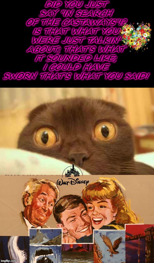 scaredy cat | DID YOU JUST SAY "IN SEARCH OF THE CASTAWAYS"!? IS THAT WHAT YOU WERE JUST TALKIN' ABOUT; THAT'S WHAT IT SOUNDED LIKE; I COULD HAVE SWORN THAT'S WHAT YOU SAID! | image tagged in scaredy cat | made w/ Imgflip meme maker