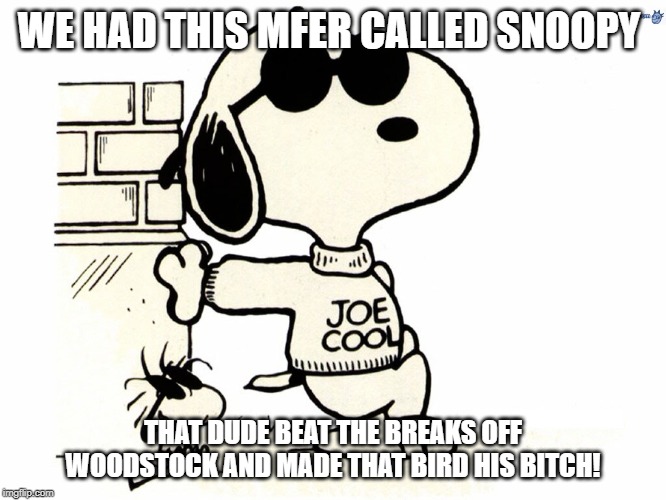 Snoopy Joe Cool | WE HAD THIS MFER CALLED SNOOPY THAT DUDE BEAT THE BREAKS OFF WOODSTOCK AND MADE THAT BIRD HIS B**CH! | image tagged in snoopy joe cool | made w/ Imgflip meme maker