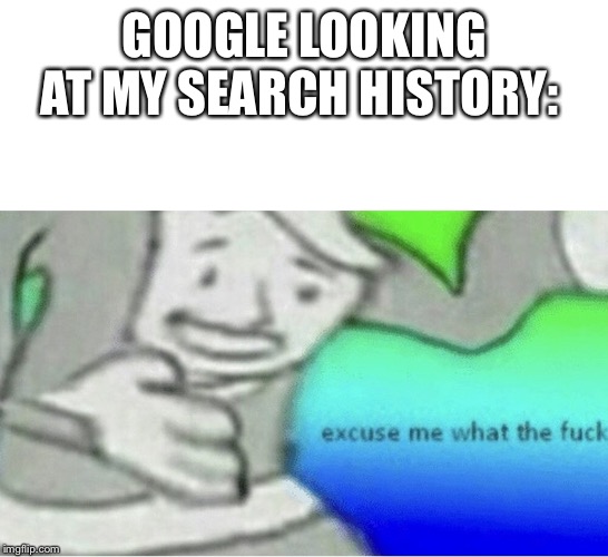 Excuse me wtf blank template | GOOGLE LOOKING AT MY SEARCH HISTORY: | image tagged in excuse me wtf blank template | made w/ Imgflip meme maker