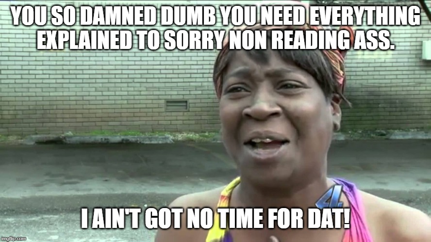 Aint Got No Time Fo Dat | YOU SO DAMNED DUMB YOU NEED EVERYTHING EXPLAINED TO SORRY NON READING ASS. I AIN'T GOT NO TIME FOR DAT! | image tagged in aint got no time fo dat | made w/ Imgflip meme maker