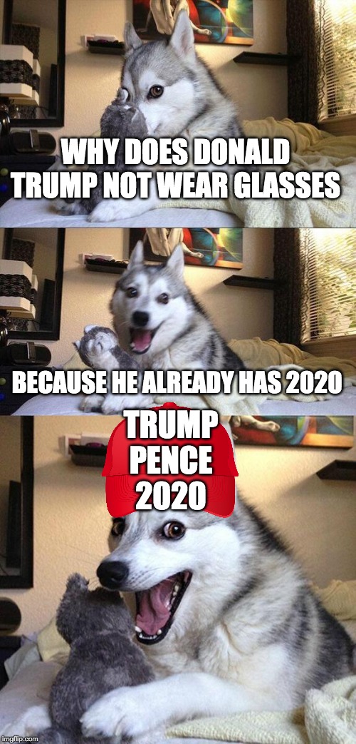 Good Pun Dog | WHY DOES DONALD TRUMP NOT WEAR GLASSES; BECAUSE HE ALREADY HAS 2020; TRUMP
 PENCE 
2020 | image tagged in memes,bad pun dog,funny,politics | made w/ Imgflip meme maker