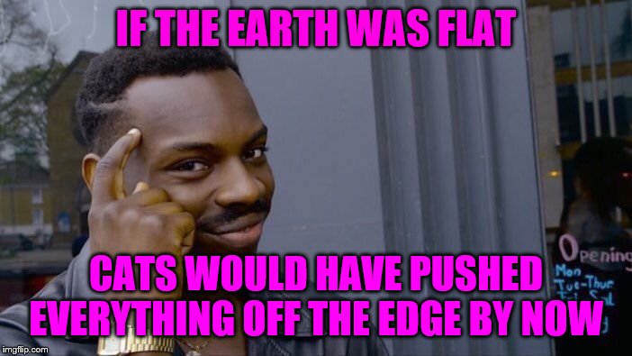 Roll Safe Think About It Meme | IF THE EARTH WAS FLAT; CATS WOULD HAVE PUSHED EVERYTHING OFF THE EDGE BY NOW | image tagged in memes,roll safe think about it | made w/ Imgflip meme maker