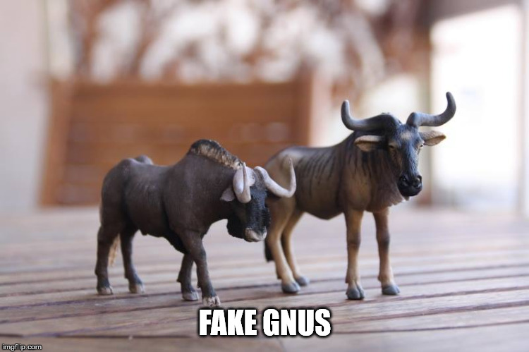 Fake Gnus | FAKE GNUS | image tagged in donald trump,mainstream media,fake news,funny memes,animals,hilarious memes | made w/ Imgflip meme maker