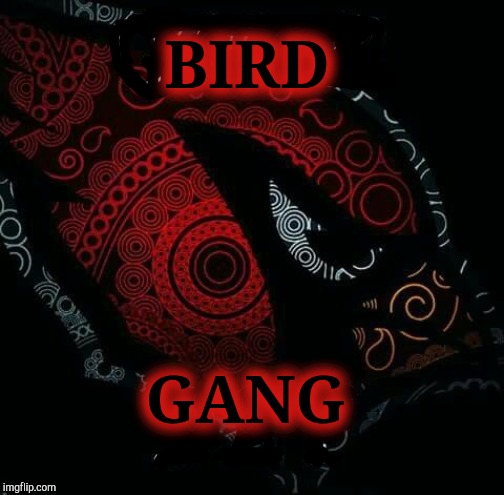 BIRD; GANG | made w/ Imgflip meme maker