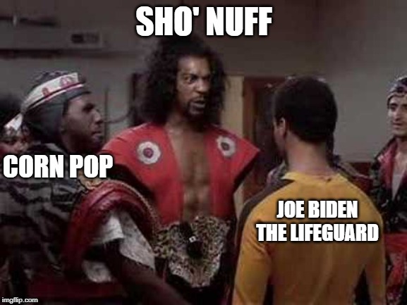 Biden vs Corn Pop actual screenshot | JOE BIDEN THE LIFEGUARD | image tagged in joe biden | made w/ Imgflip meme maker