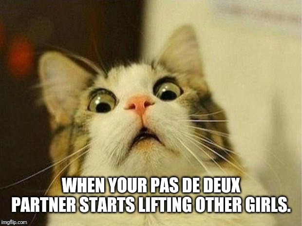 Scared Cat Meme | WHEN YOUR PAS DE DEUX PARTNER STARTS LIFTING OTHER GIRLS. | image tagged in memes,scared cat | made w/ Imgflip meme maker