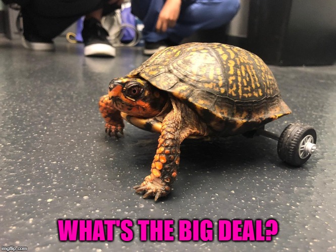 WHAT'S THE BIG DEAL? | made w/ Imgflip meme maker