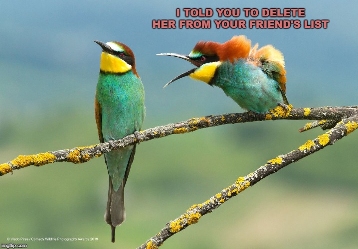 Marriage | I TOLD YOU TO DELETE HER FROM YOUR FRIEND'S LIST | image tagged in marriage,facebook | made w/ Imgflip meme maker
