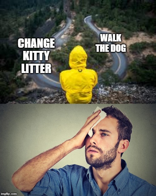 Choose wisely | WALK THE DOG; CHANGE KITTY LITTER | image tagged in choose wisely,cats | made w/ Imgflip meme maker