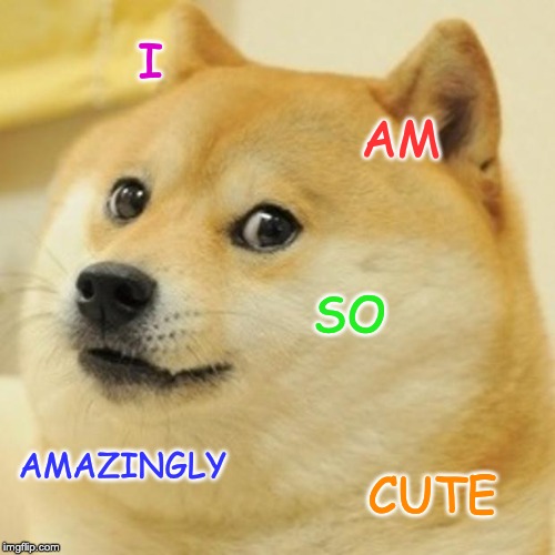 Doge Meme | I AM SO AMAZINGLY CUTE | image tagged in memes,doge | made w/ Imgflip meme maker