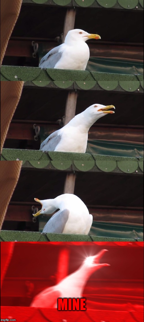 Inhaling Seagull Meme | MINE | image tagged in memes,inhaling seagull | made w/ Imgflip meme maker
