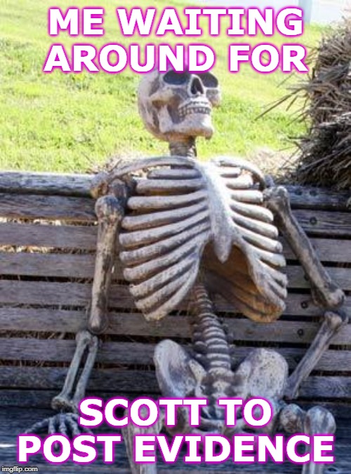 Waiting Skeleton | ME WAITING AROUND FOR; SCOTT TO POST EVIDENCE | image tagged in memes,waiting skeleton | made w/ Imgflip meme maker