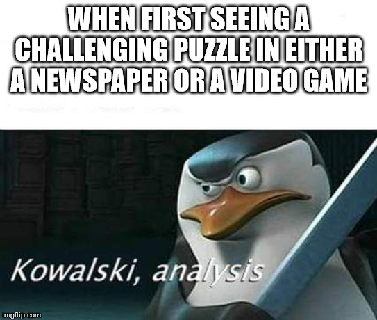 kowalski, analysis | WHEN FIRST SEEING A CHALLENGING PUZZLE IN EITHER A NEWSPAPER OR A VIDEO GAME | image tagged in kowalski analysis | made w/ Imgflip meme maker