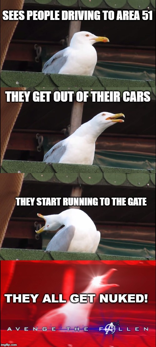 Inhaling Seagull | SEES PEOPLE DRIVING TO AREA 51; THEY GET OUT OF THEIR CARS; THEY START RUNNING TO THE GATE; THEY ALL GET NUKED! | image tagged in memes,inhaling seagull | made w/ Imgflip meme maker